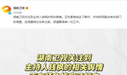 娱乐圈吃瓜运营模式有哪些,揭秘幕后攻略与热门事件幕后真相